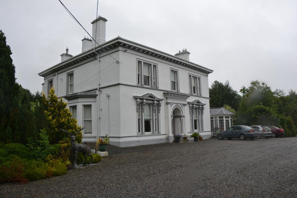 Ballinwillin House Mitchelstown Esterno foto